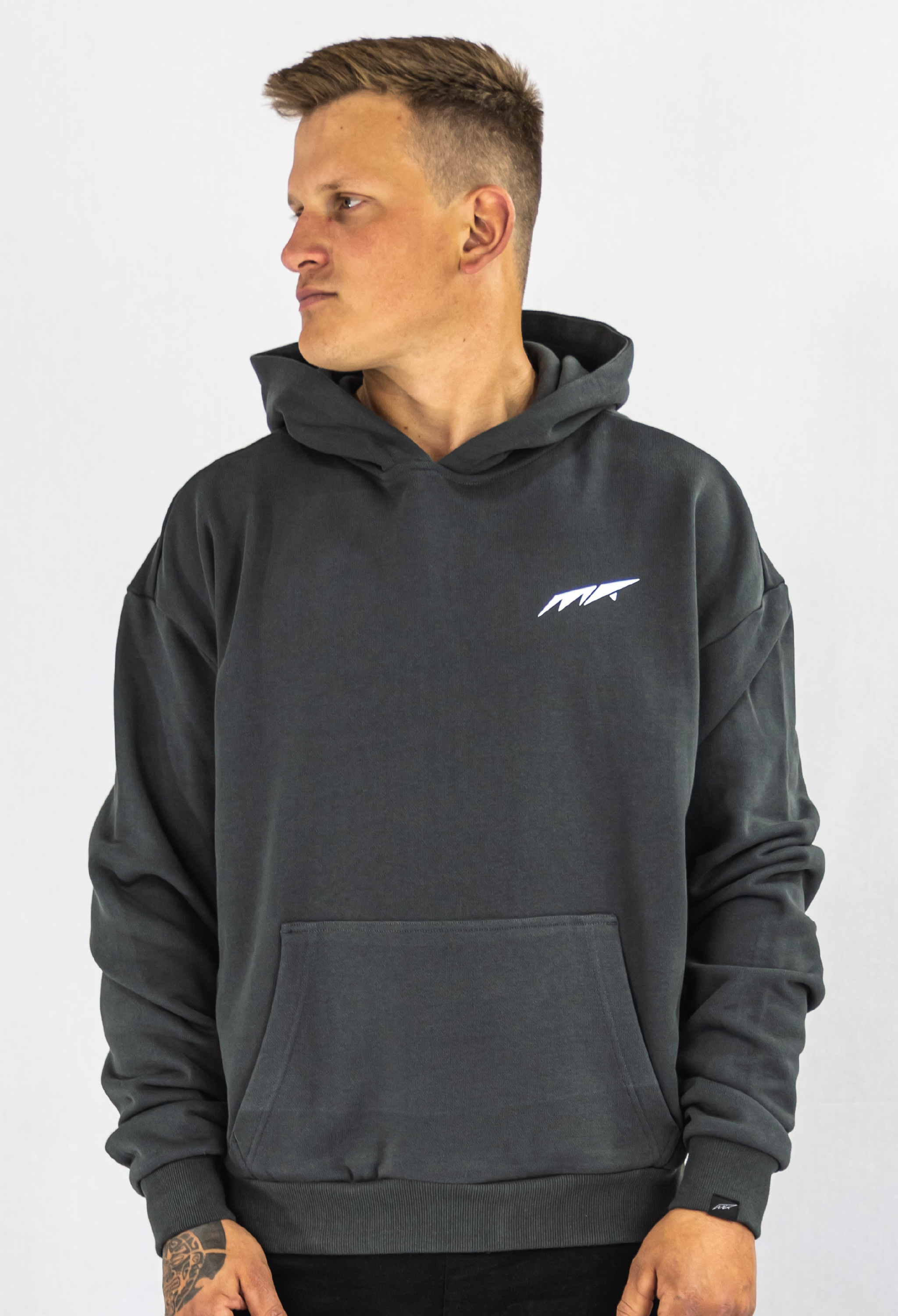 ICON HOODIE STONEGREY